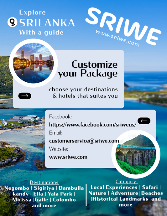 Customizable Tour Packages